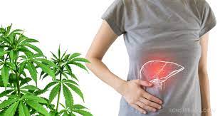 Cannabis for gastro issues